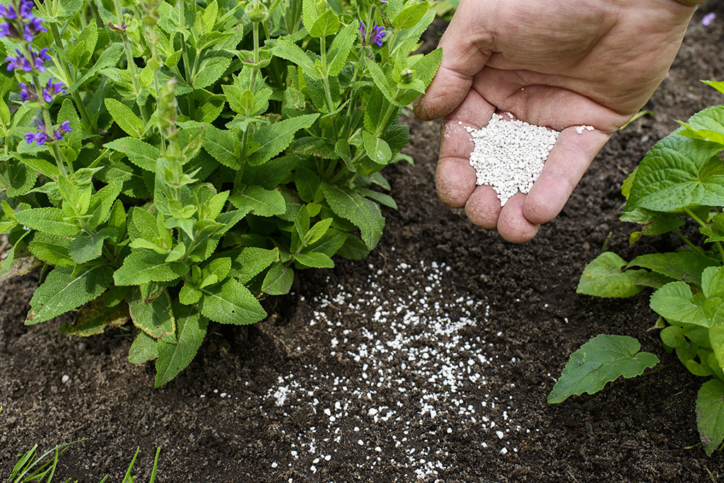 Meststoffen en verzorging van uw tuin