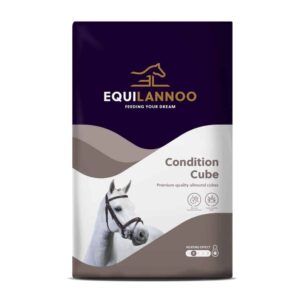 Equilannoo Condition Cube 20kg